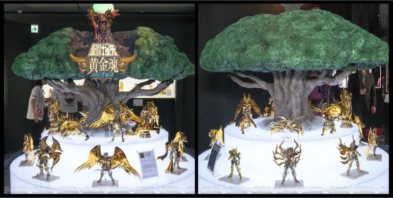 Fichier:510 SCM SoG 61.jpg