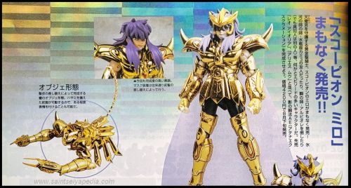 174 SCM Goldcloth 11.jpg